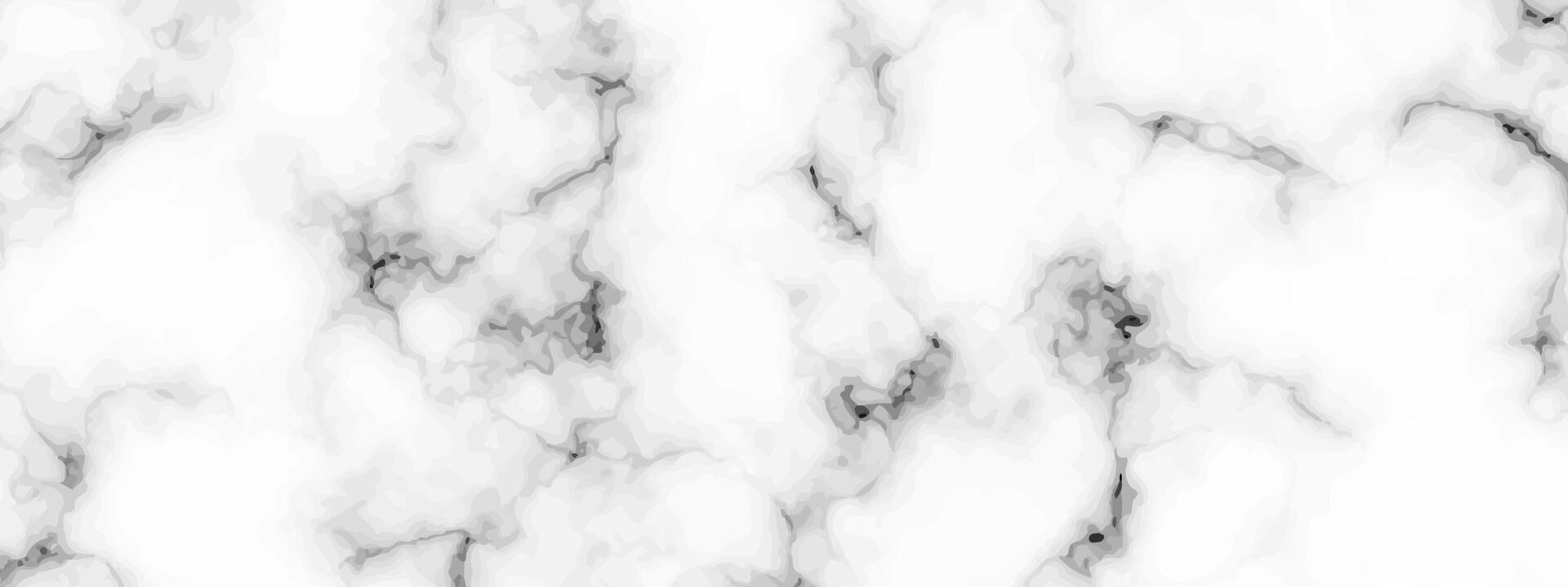 White marble texture background vector