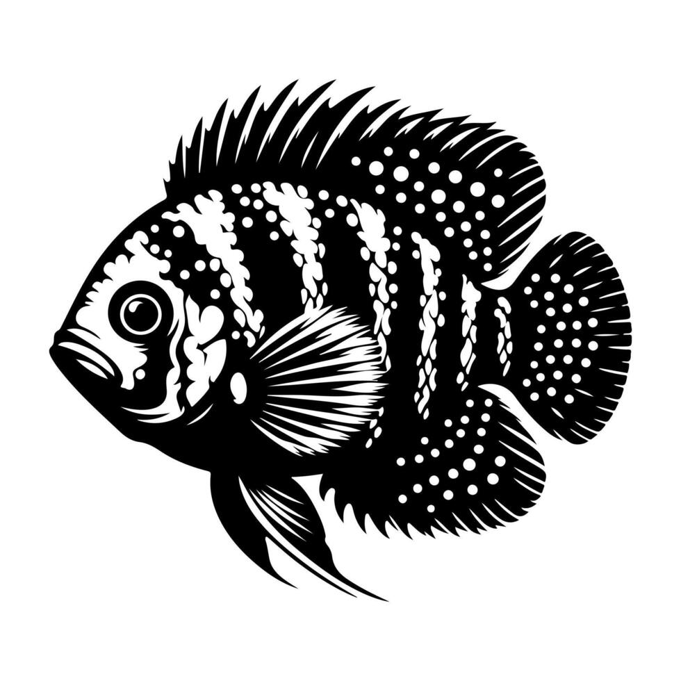 Freshwater fish silhouettes collection. Fish icon isolated vector