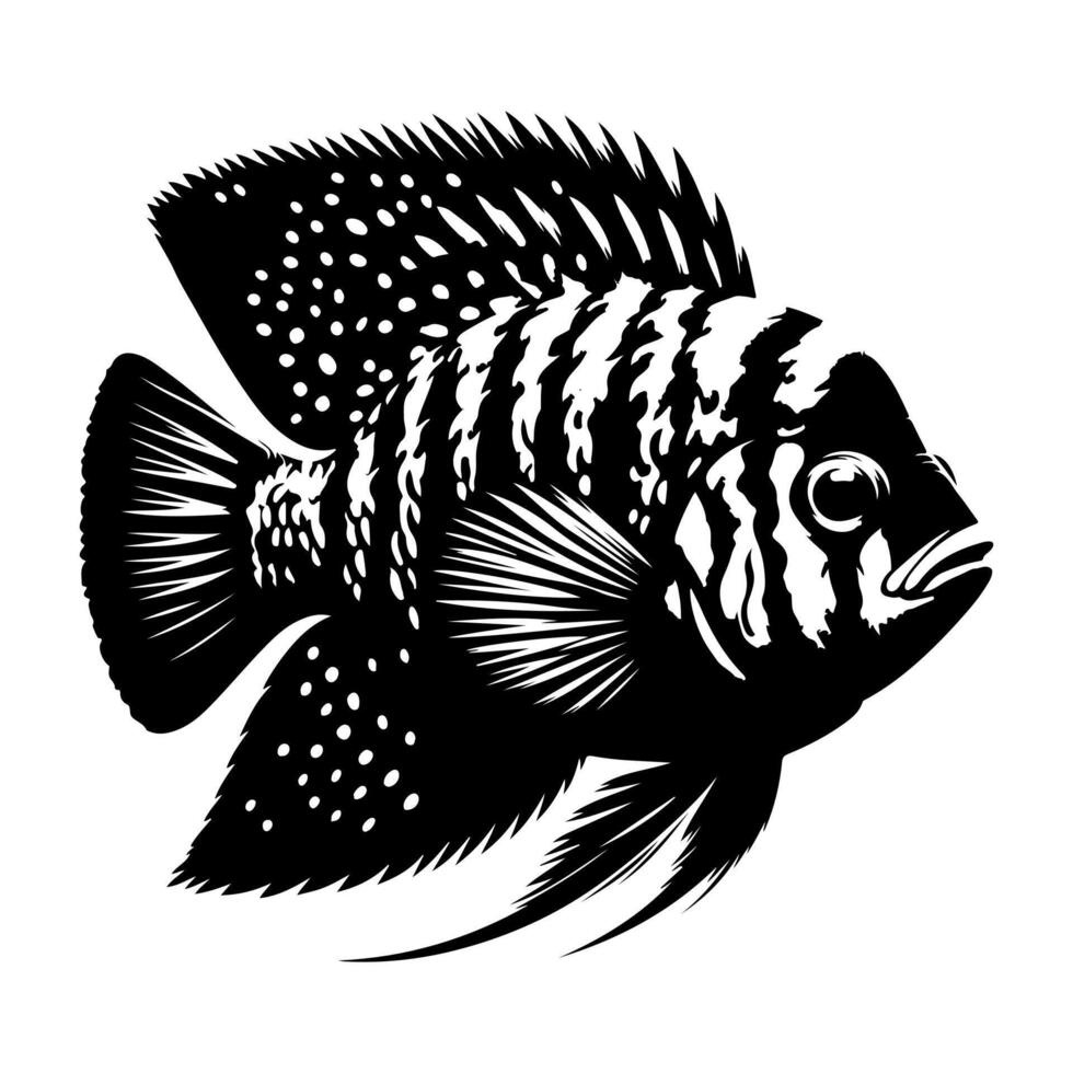 Freshwater fish silhouettes collection. Fish icon isolated vector