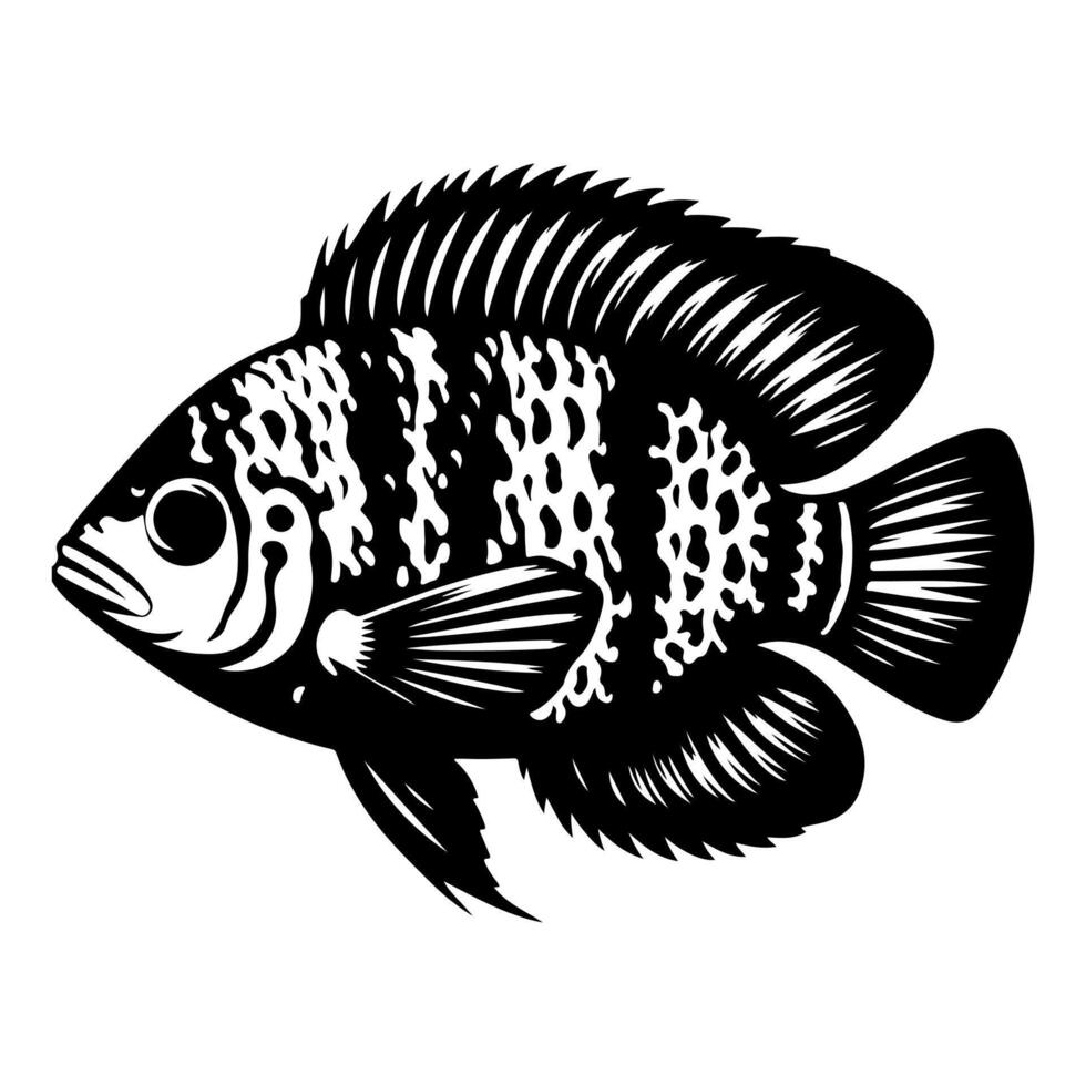 Freshwater fish silhouettes collection. Fish icon isolated vector
