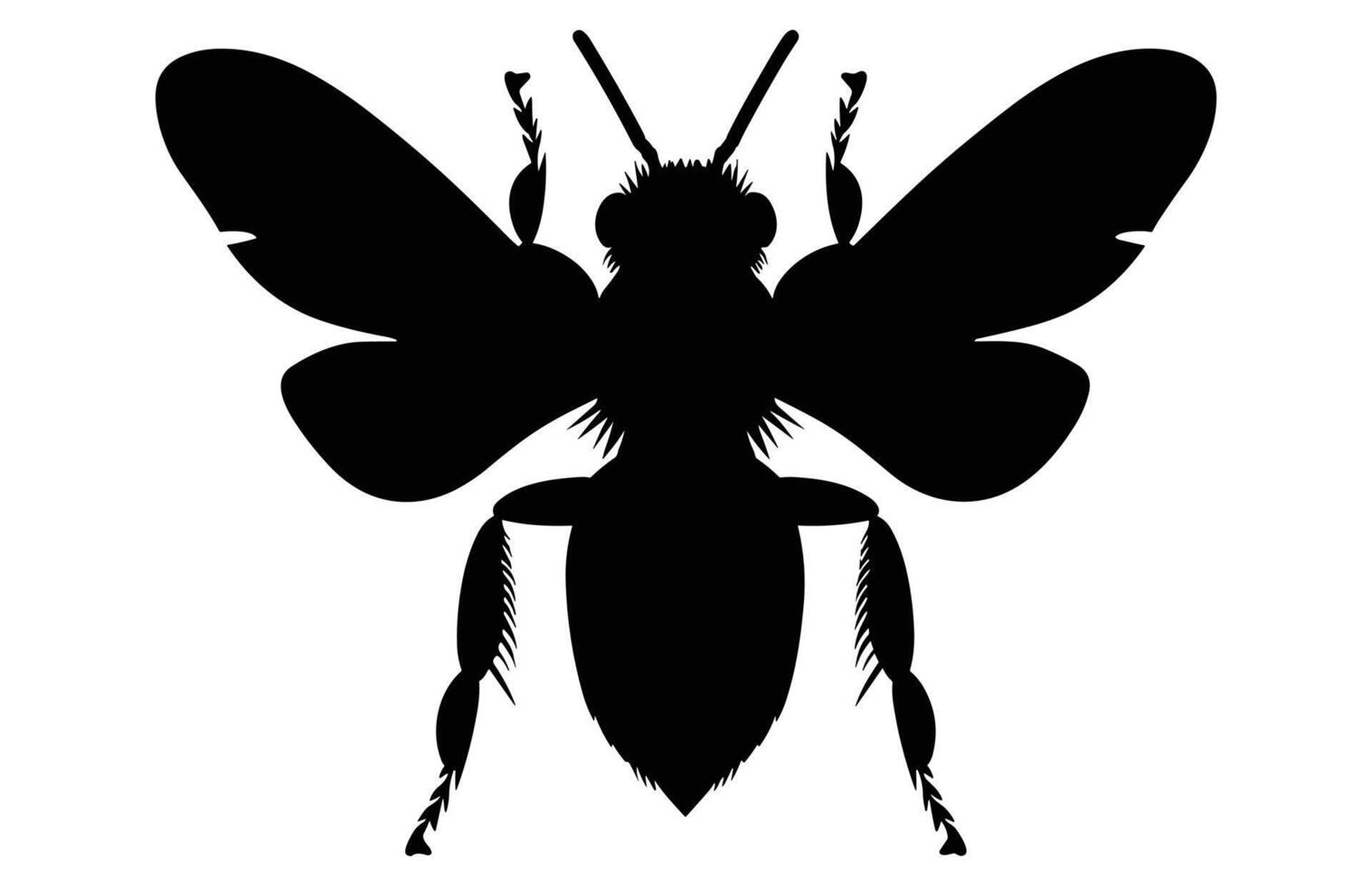 Bee Silhouette isolated black on white background Illustration, Honey Bee Icon, Honey bee insect silhouette. vector