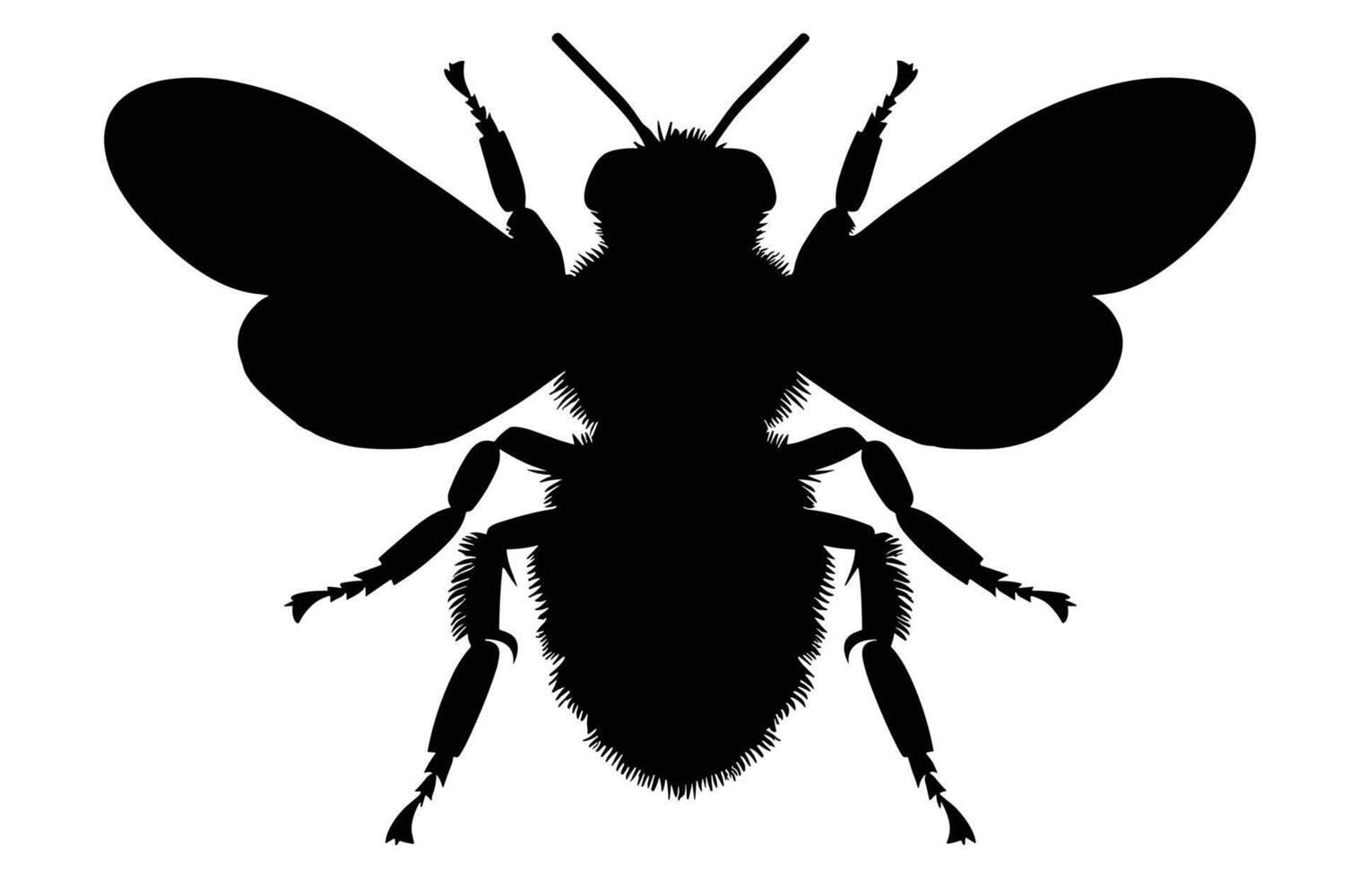 Bee Silhouette isolated black on white background Illustration, Honey Bee Icon, Honey bee insect silhouette. vector