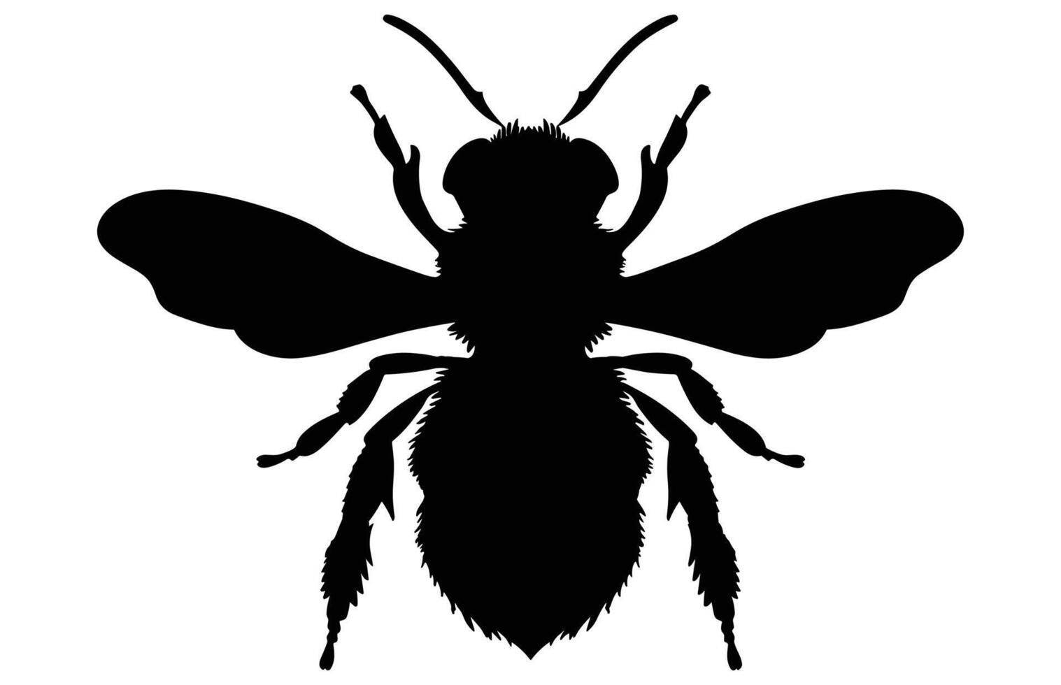 Bee Silhouette isolated black on white background Illustration, Honey Bee Icon, Honey bee insect silhouette. vector