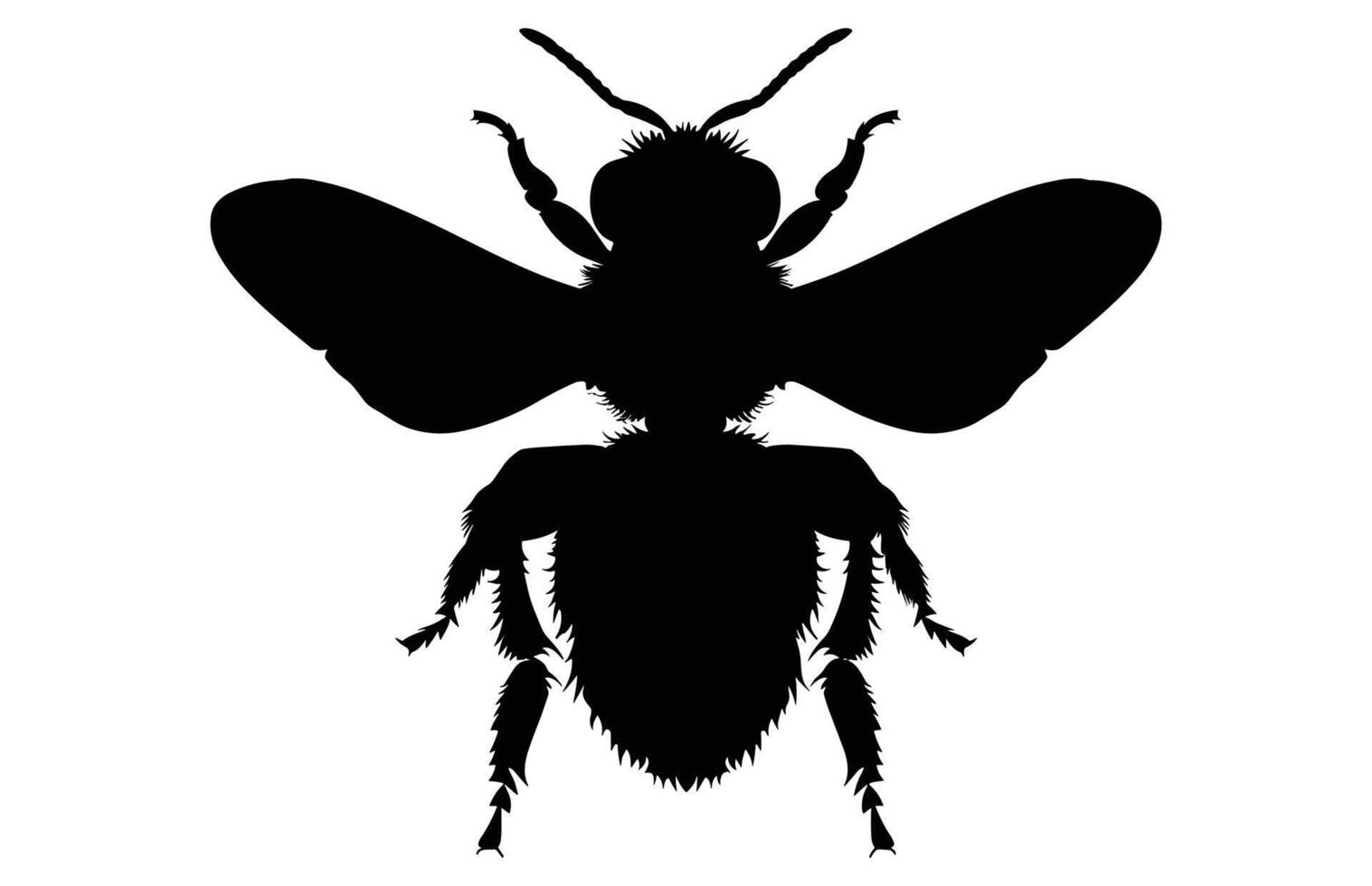 Bee Silhouette isolated black on white background Illustration, Honey Bee Icon, Honey bee insect silhouette. vector