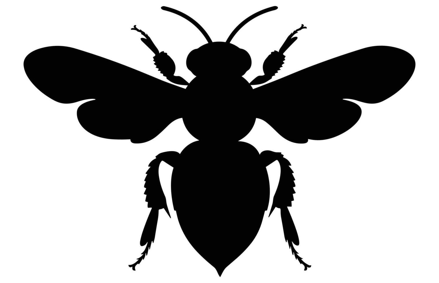 Bee Silhouette isolated black on white background Illustration, Honey Bee Icon, Honey bee insect silhouette. vector