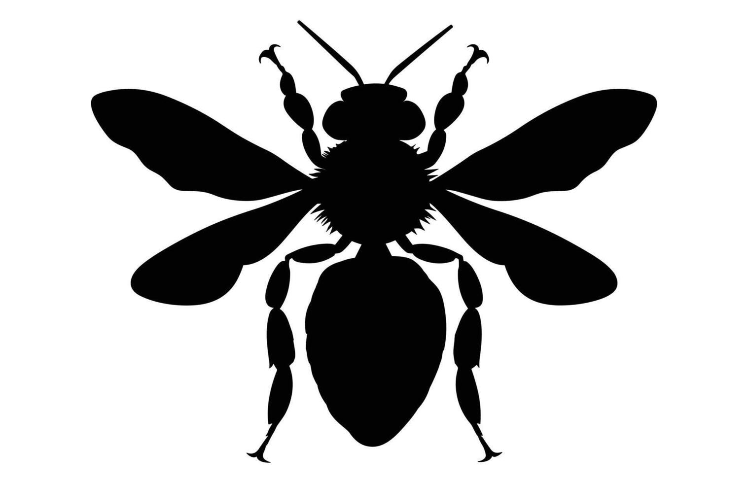 Bee Silhouette isolated black on white background Illustration, Honey Bee Icon, Honey bee insect silhouette. vector