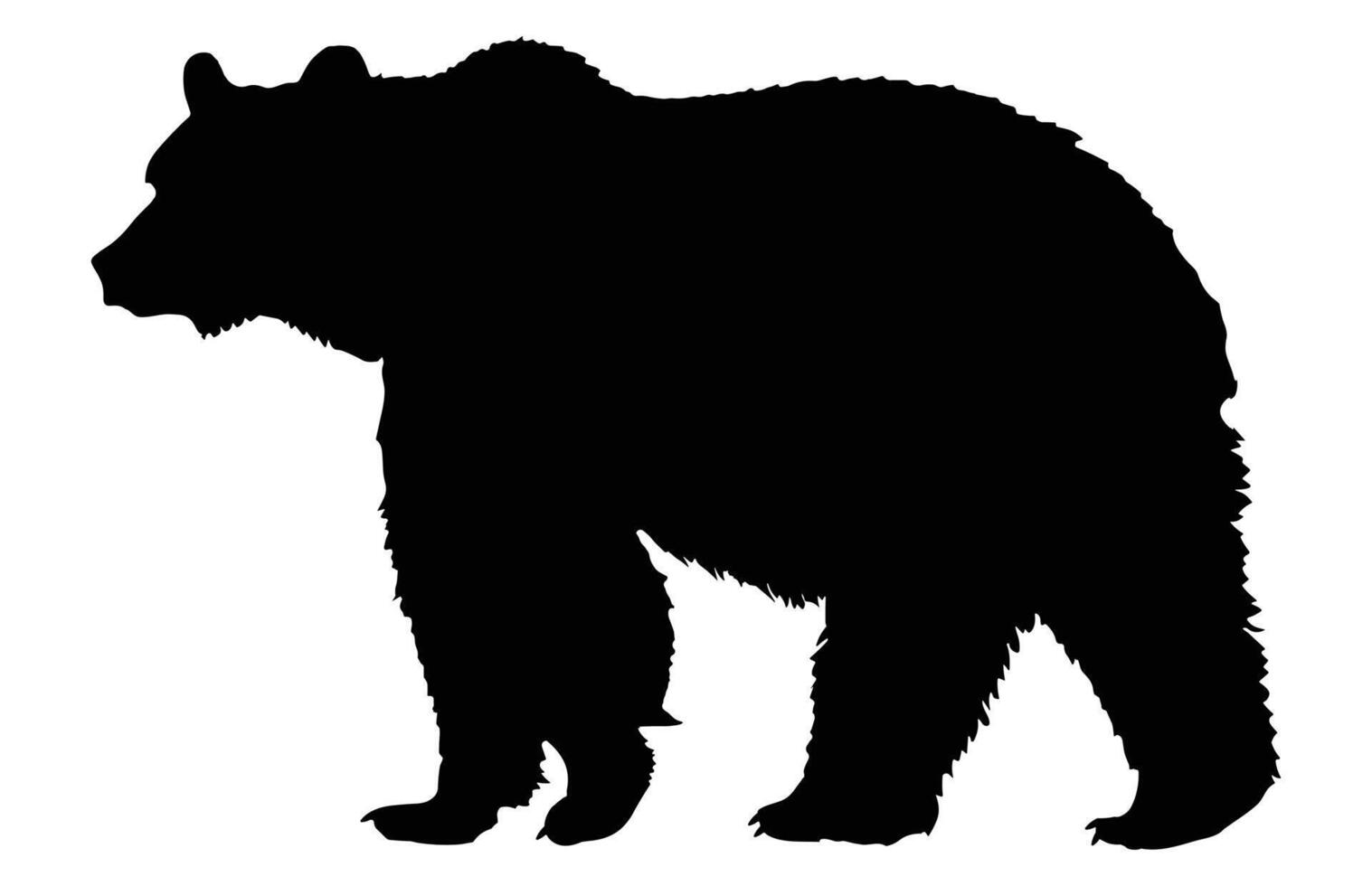 bear silhouette isolated on white background, Polar Bear animal, Wildlife animal various pose. vector