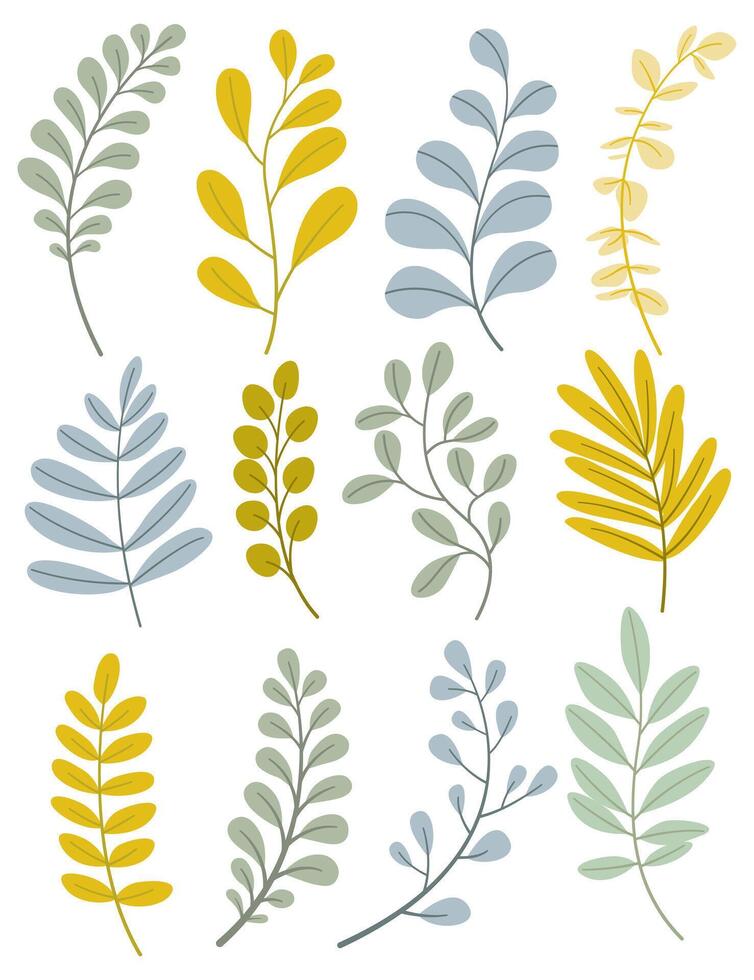 Set of leaves. Hand drawn decorative elements. vector
