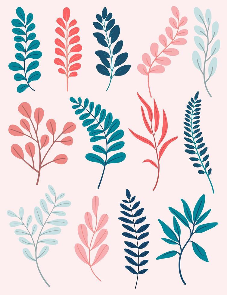 Set of leaves. Hand drawn decorative elements. vector