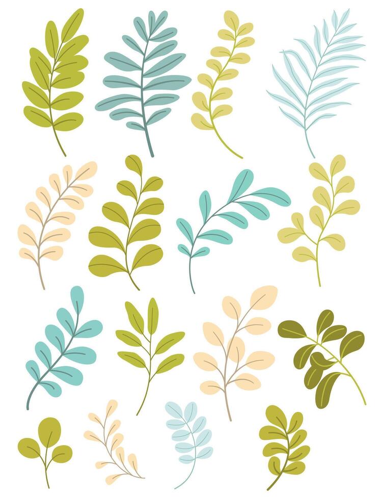 Set of leaves. Hand drawn decorative elements. vector