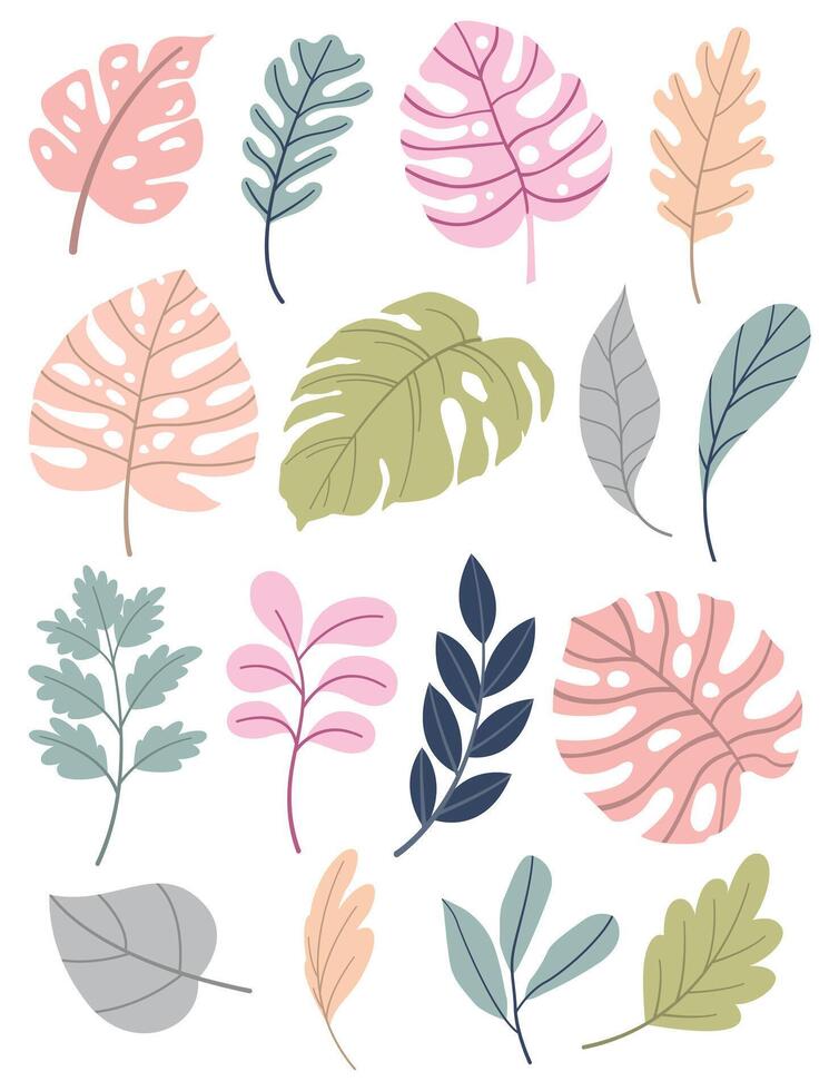 Set of leaves. Hand drawn decorative elements. vector