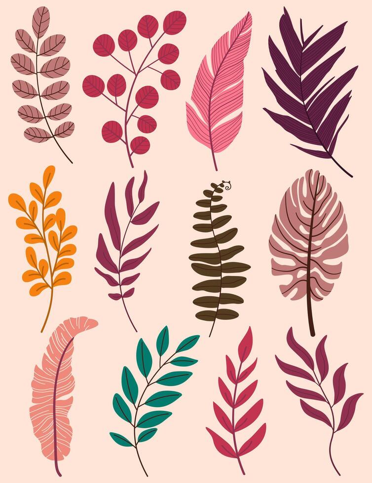 Set of leaves. Hand drawn decorative elements. vector