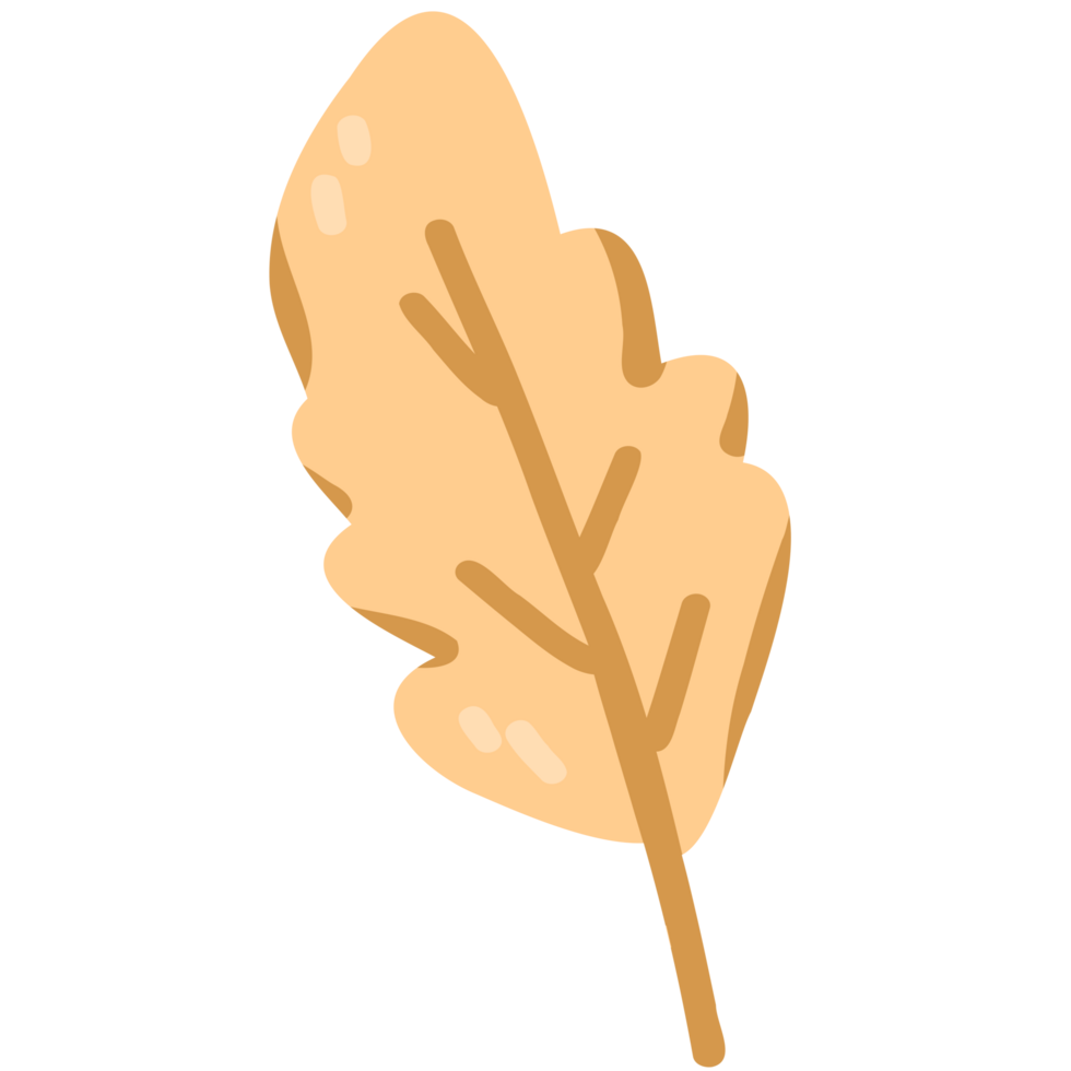 Orange leaves illustration png