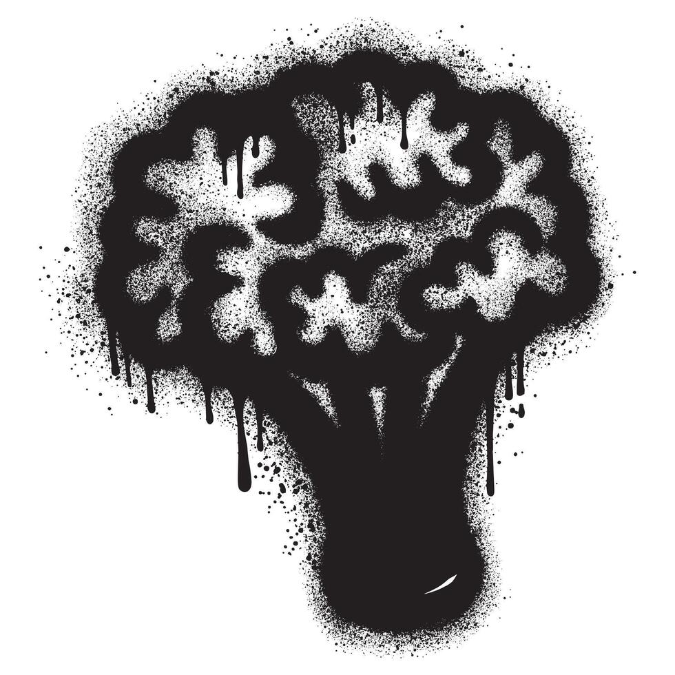 Spray Painted Graffiti Broccoli Sprayed isolated on white background. vector