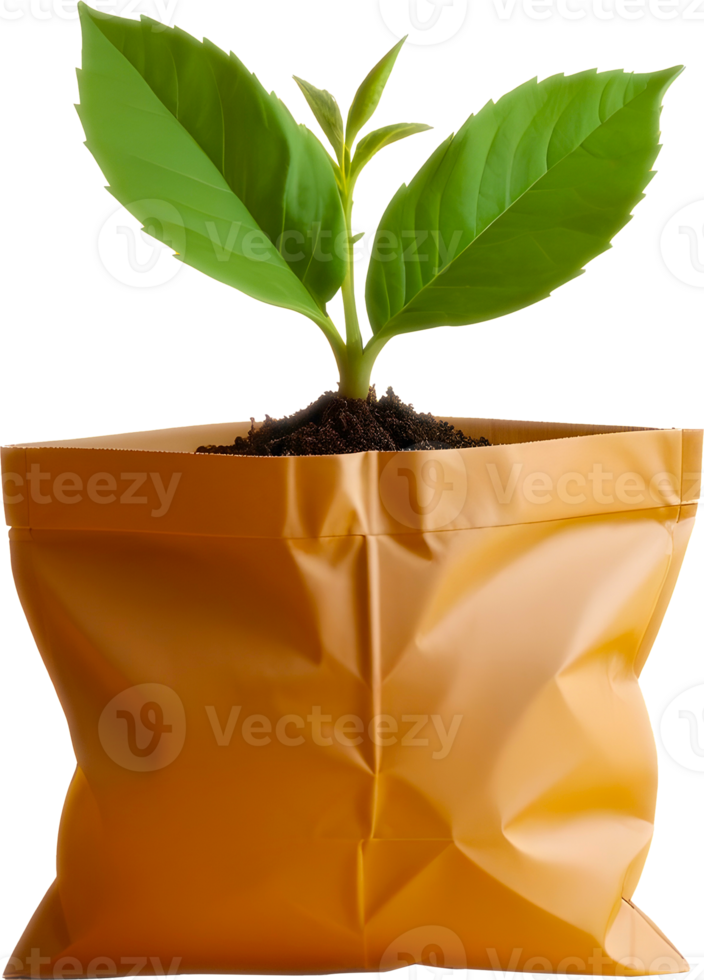 3D tree icon png
