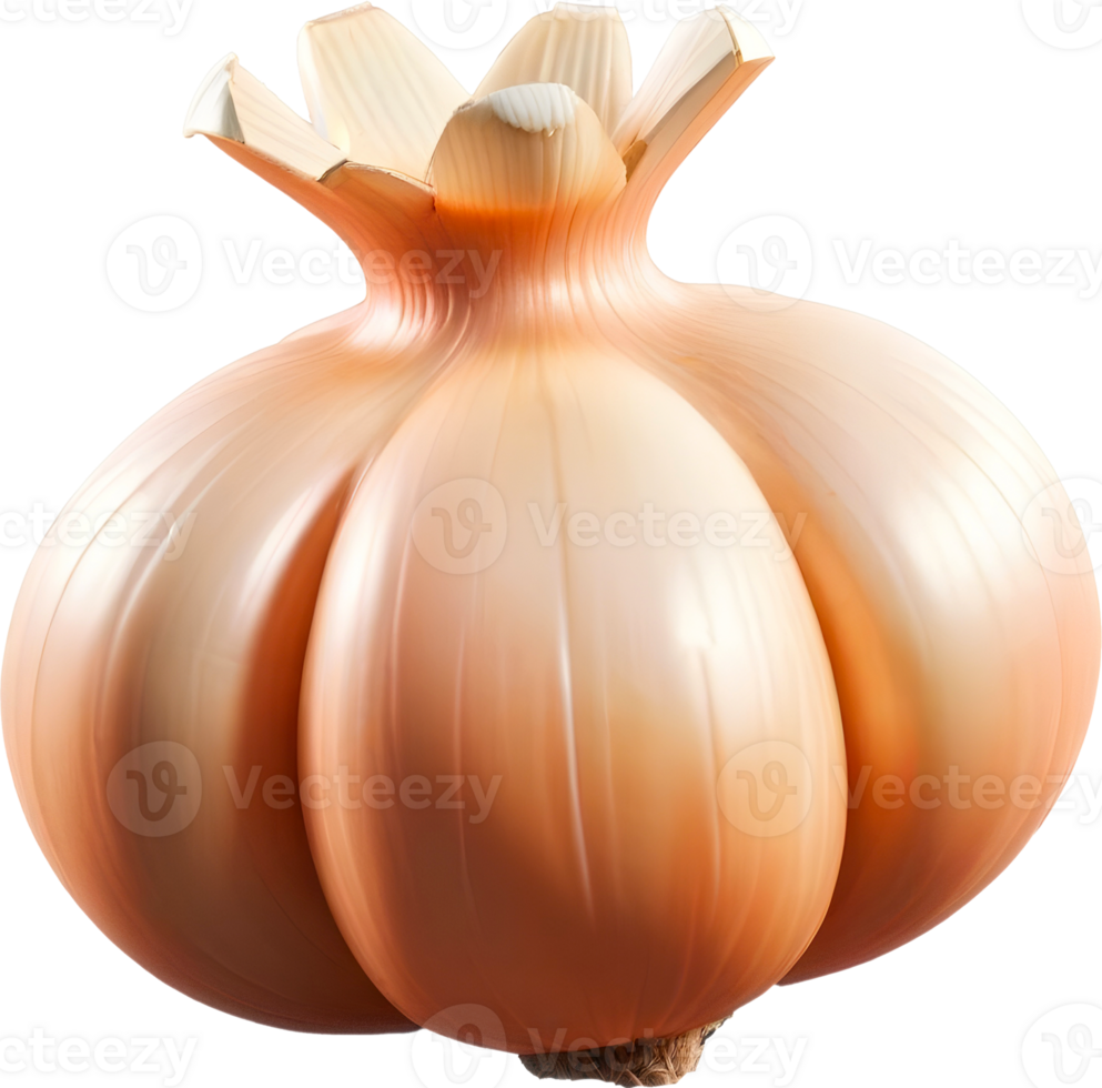 3D Kitchen Food png