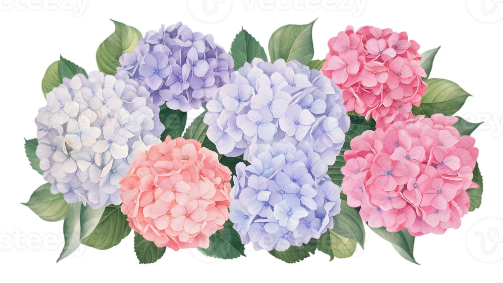 Flat Watercolor Hydrangea Clusters Set png