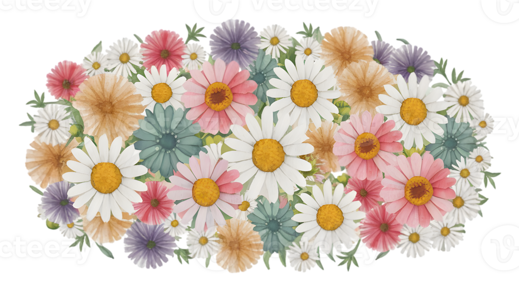 Flat Watercolor Daisy Bunches Set png