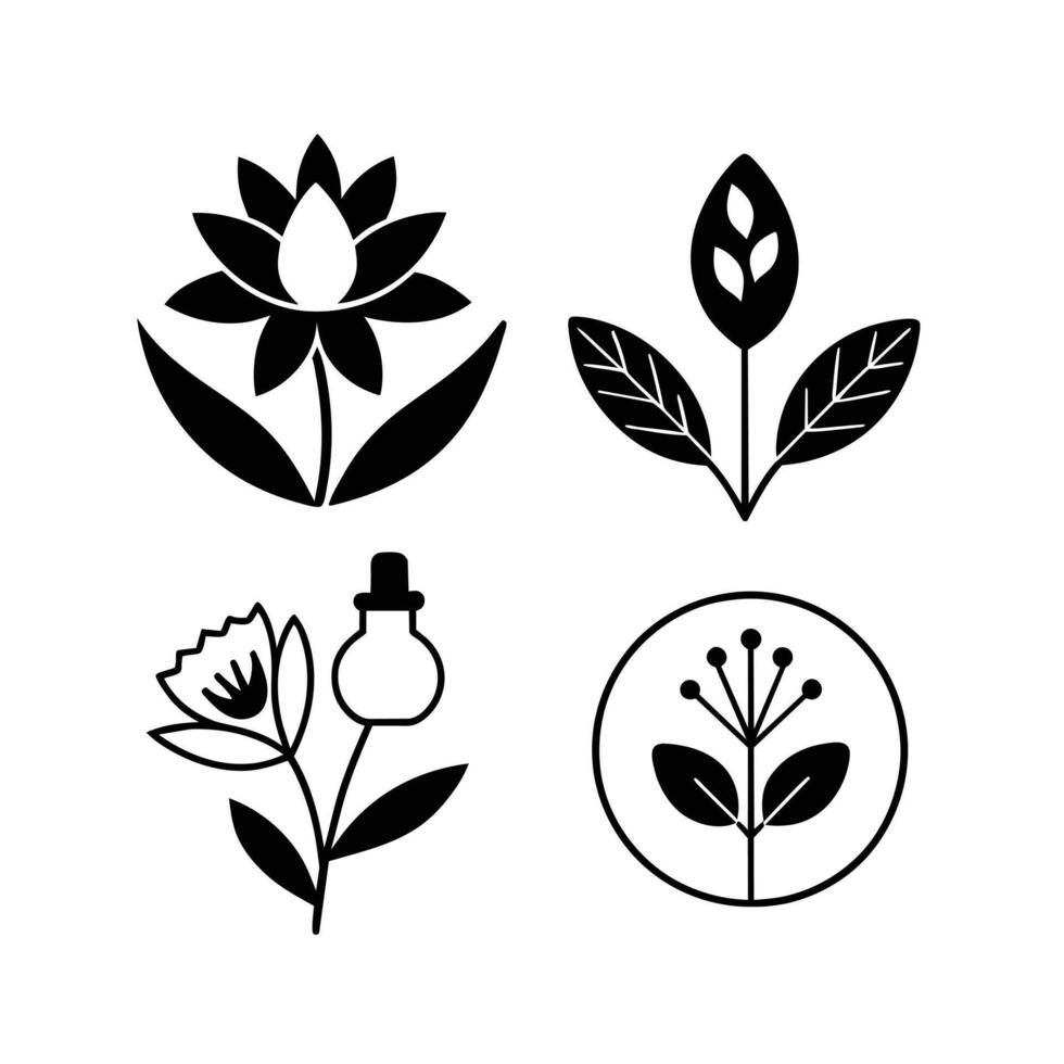 Set of design templates and graphic elements, organic cosmetic, floral black illustration in simple linear hand drawn style, plants and flowers vector