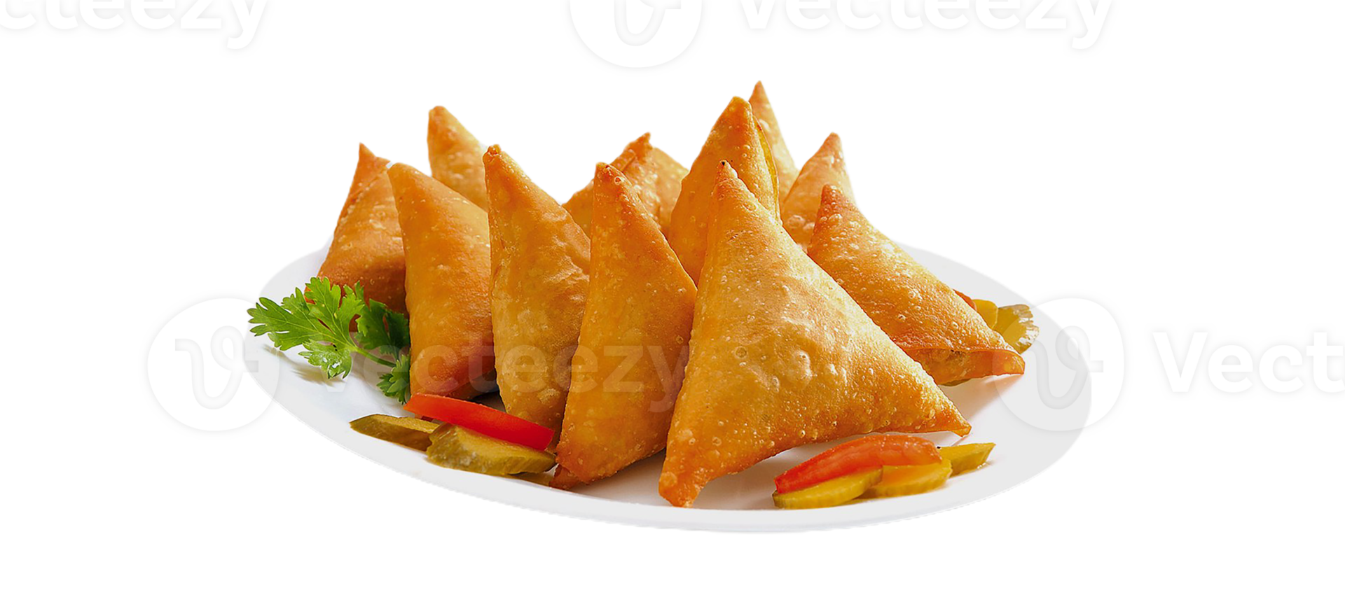 samosa transparent background png