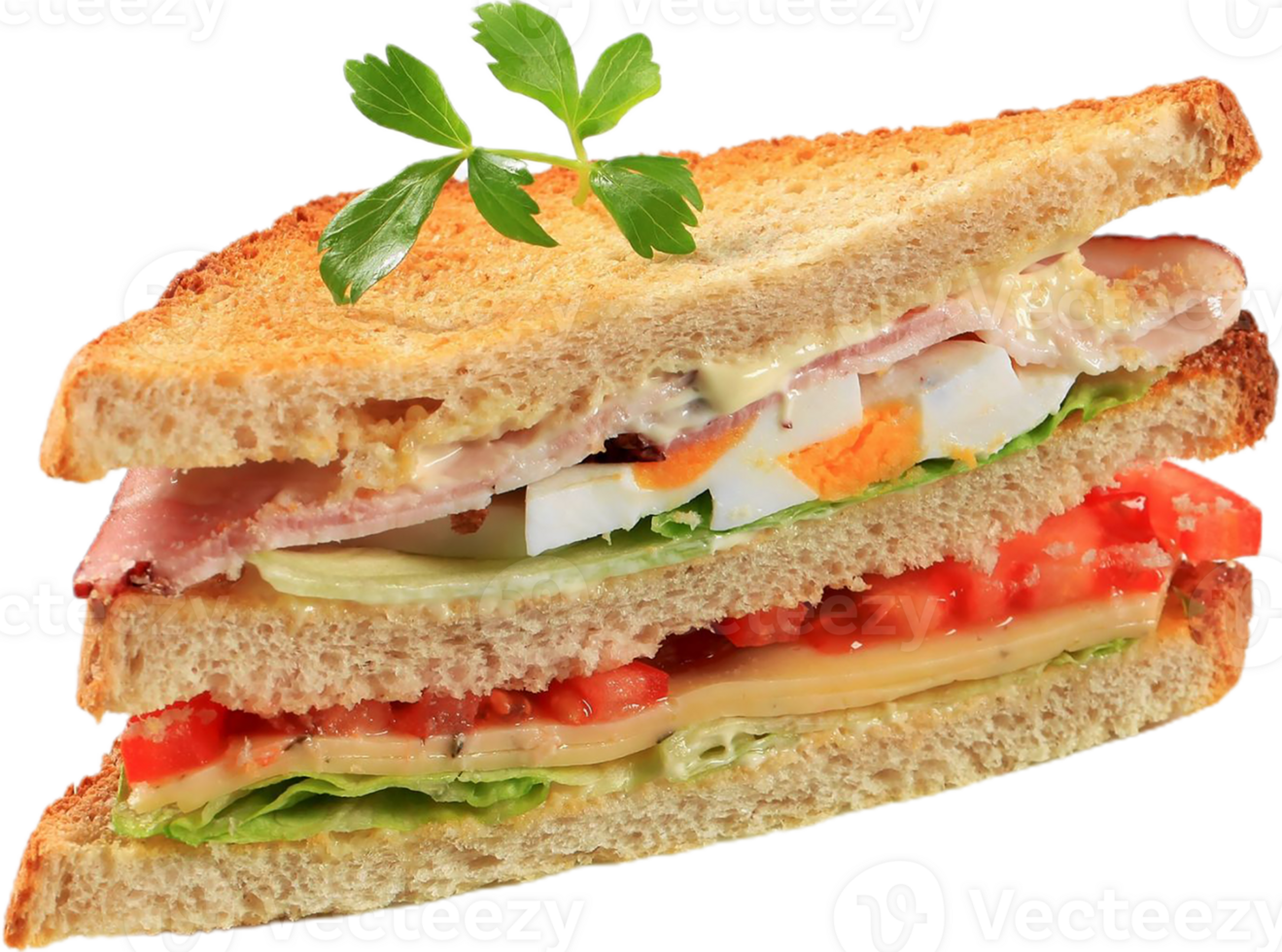 sandwich transparent background png