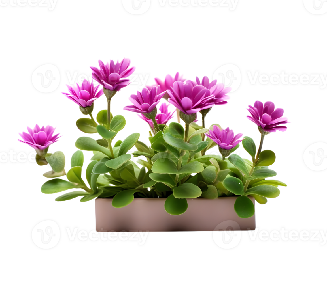 mini flower elevation front view isolated png