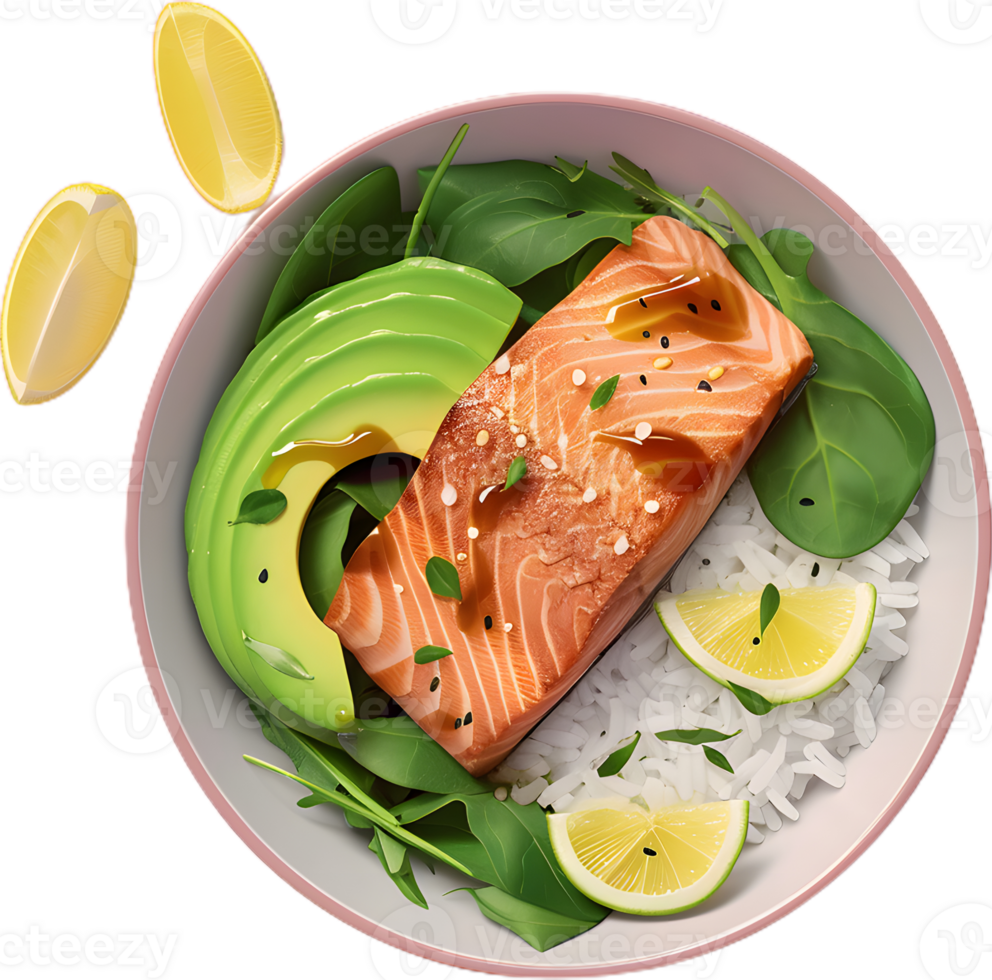 Salmon bowl transparent background png