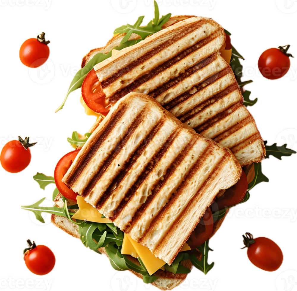 Delicious cheese sandwich transparent background png