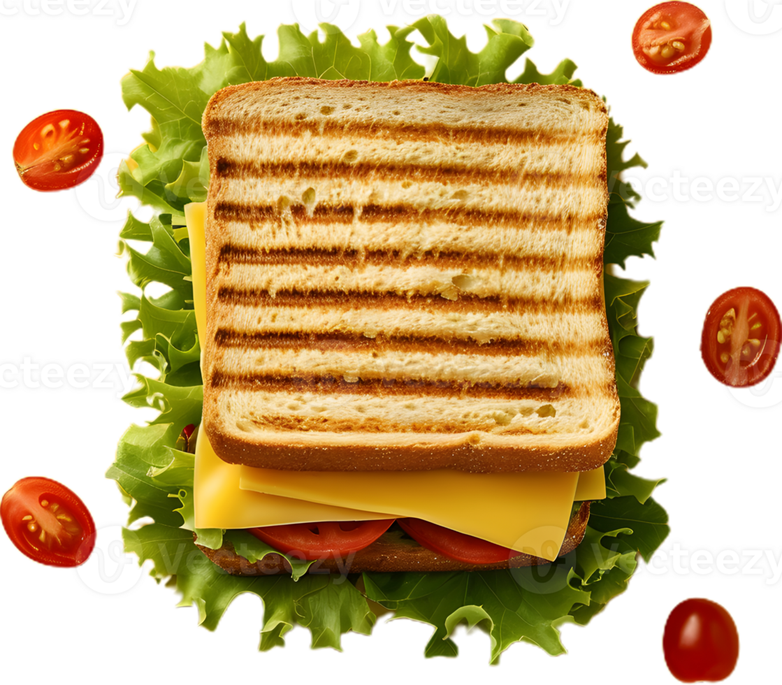 Delicious cheese sandwich transparent background png