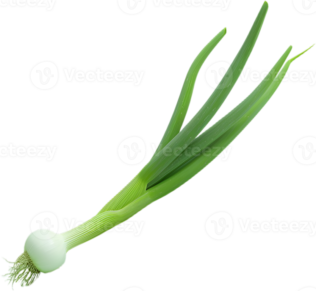 green onion transparent background png