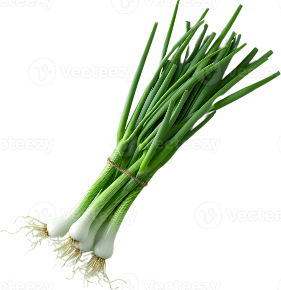 green onion transparent background png
