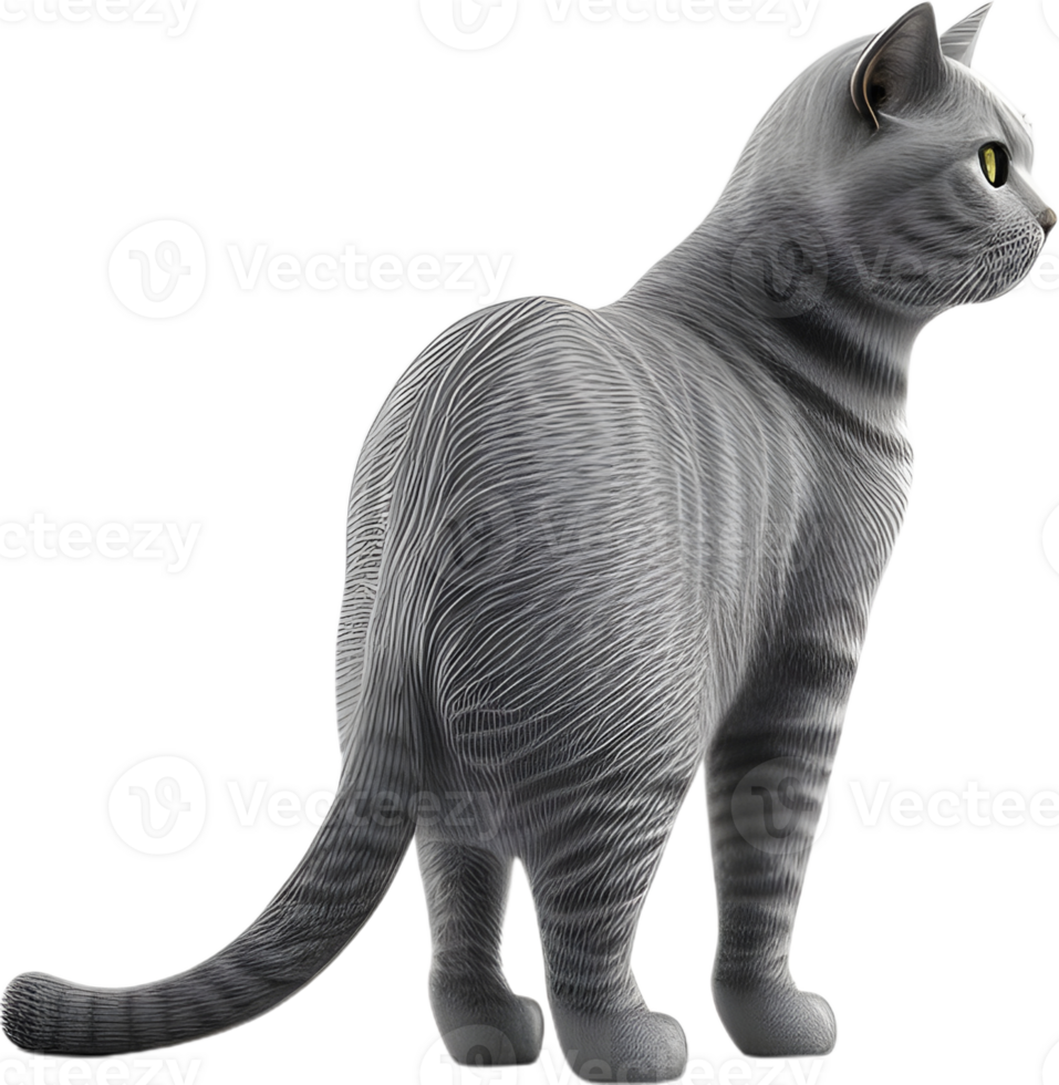 Cat 3d model back view transparent background png