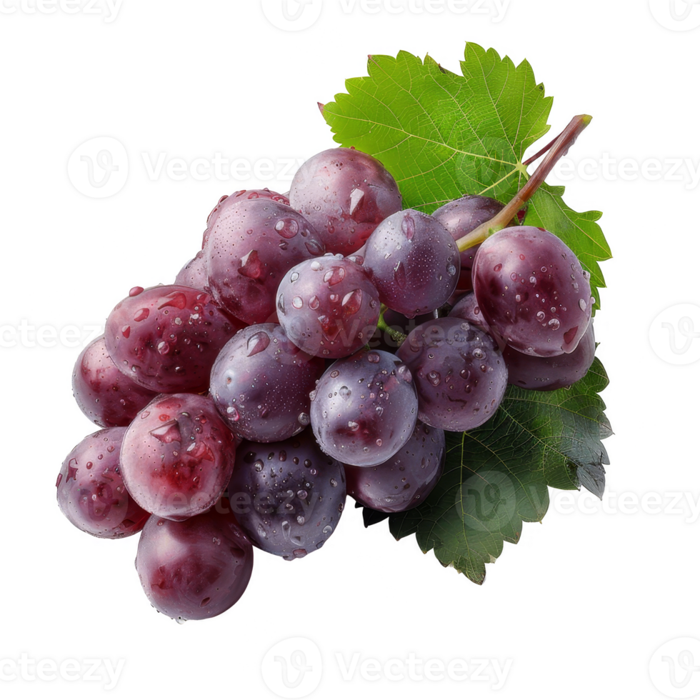 Grapes Isolated on a Transparent Background png