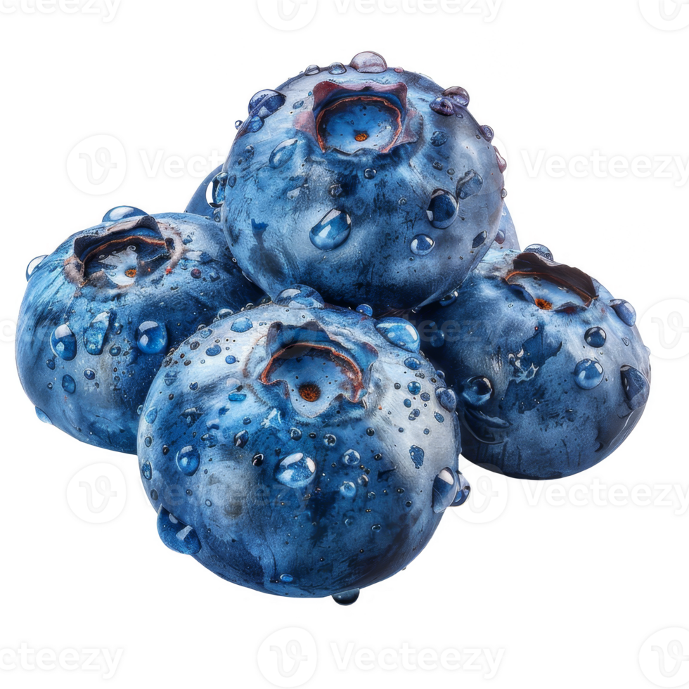 Blueberry Isolated on a Transparent Background png