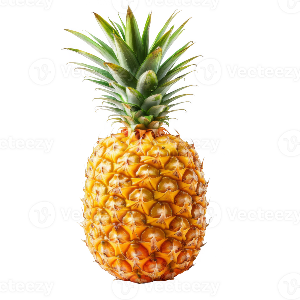 Pineapple Isolated on a Transparent Background png