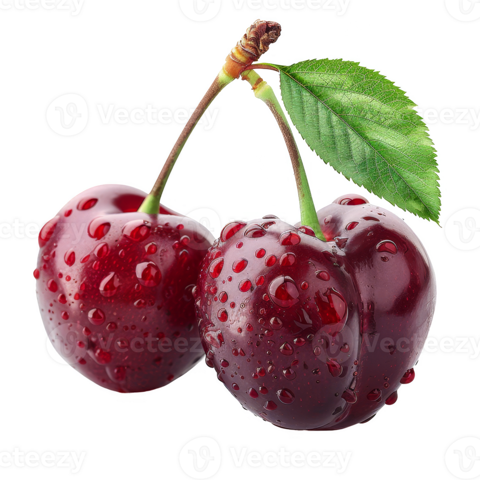Cherry Isolated on a Transparent Background png