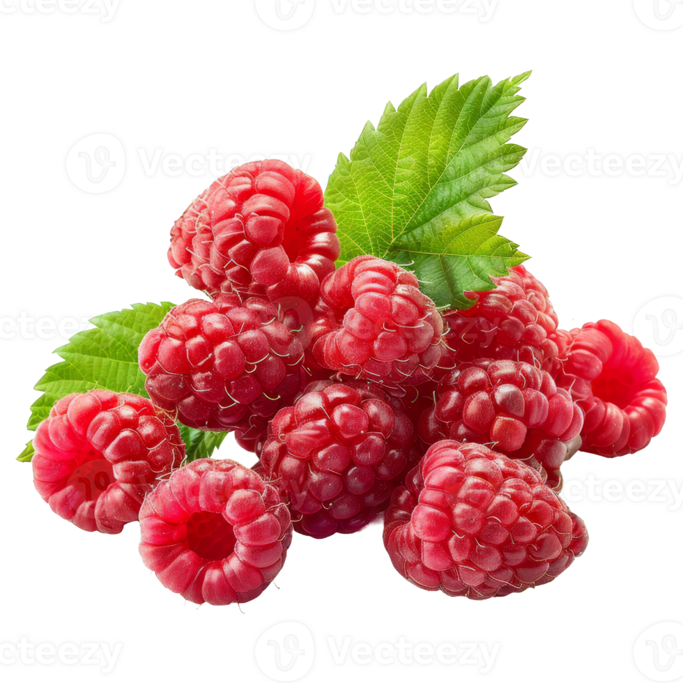 Raspberry Isolated on a Transparent Background png