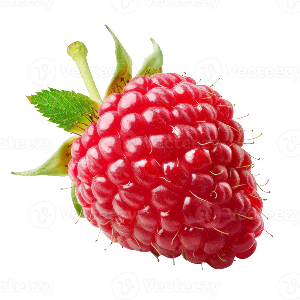 Raspberry Isolated on a Transparent Background png
