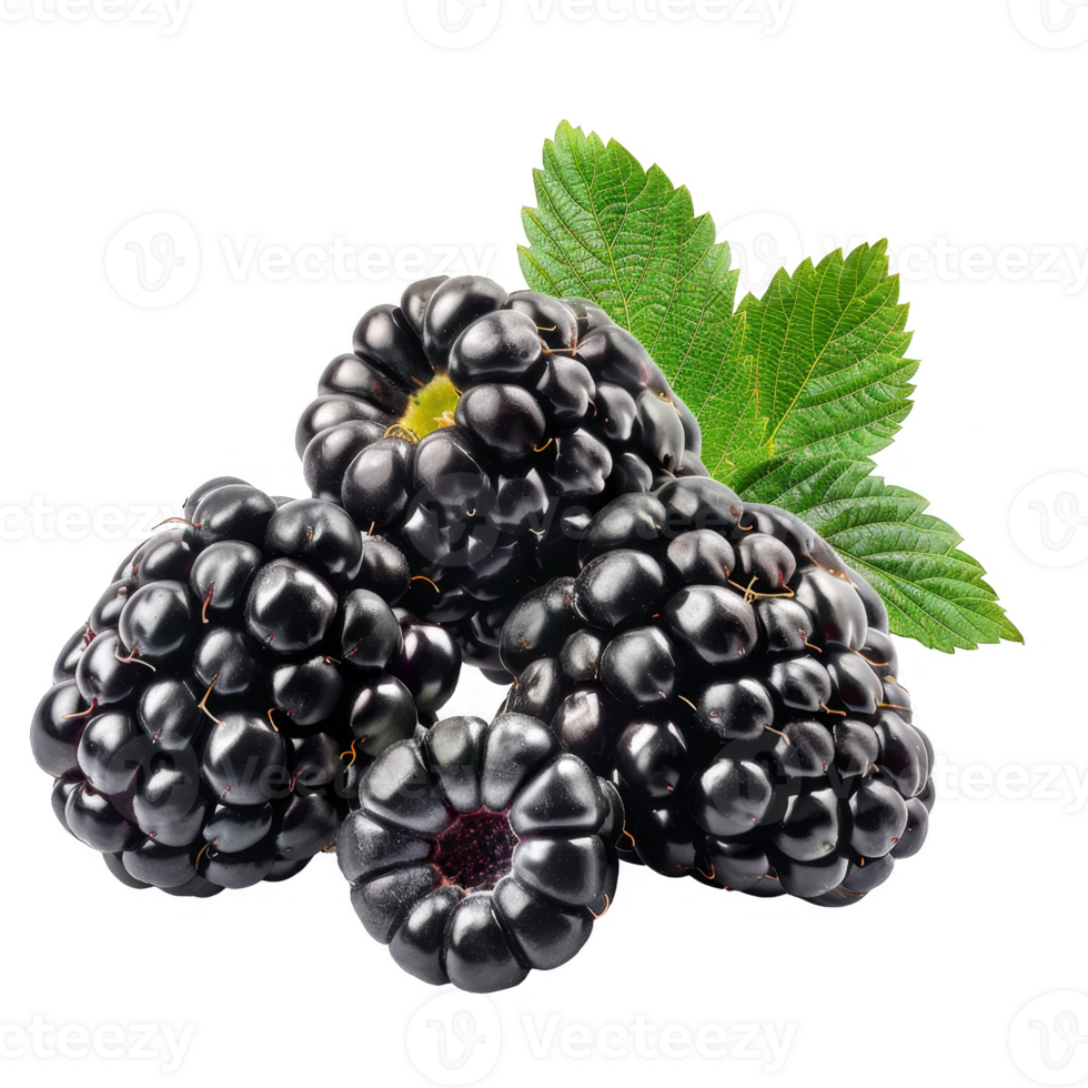 Blackberry Isolated on a Transparent Background png