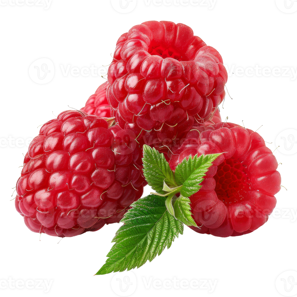 Raspberry Isolated on a Transparent Background png