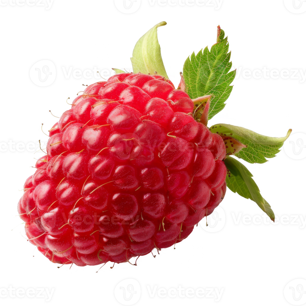 Raspberry Isolated on a Transparent Background png