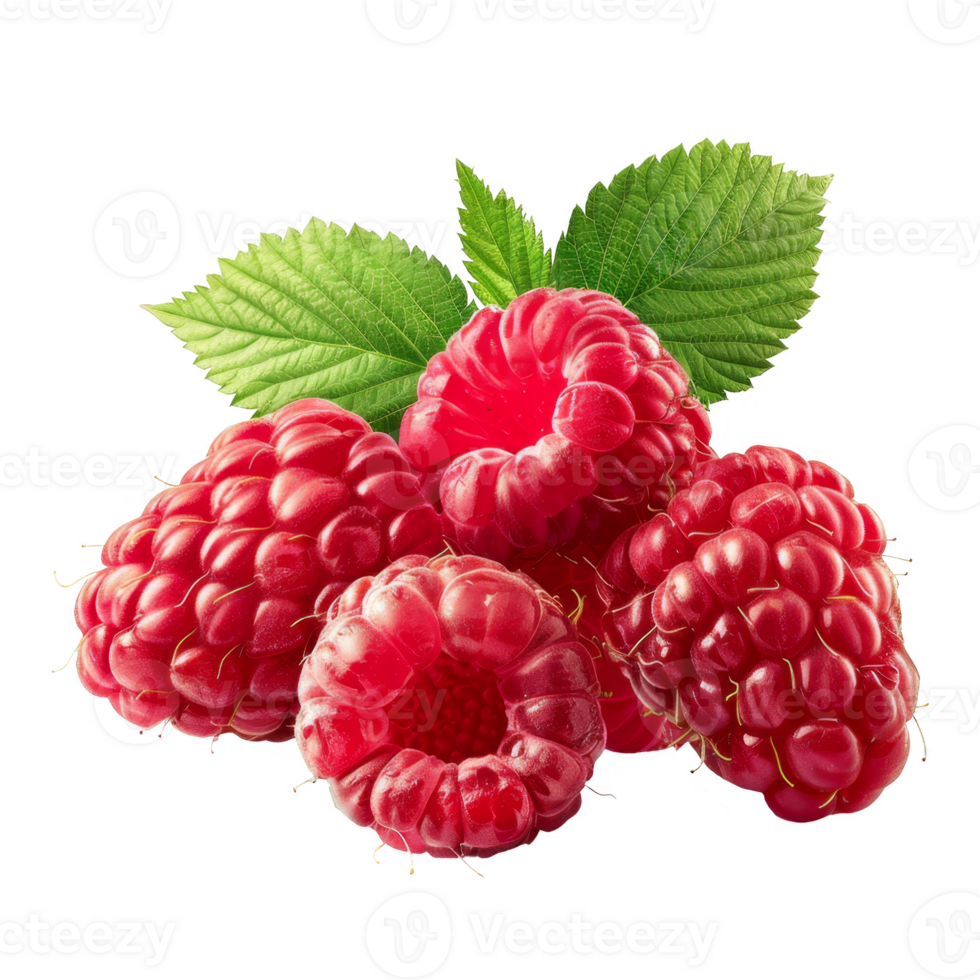 Raspberry Isolated on a Transparent Background png