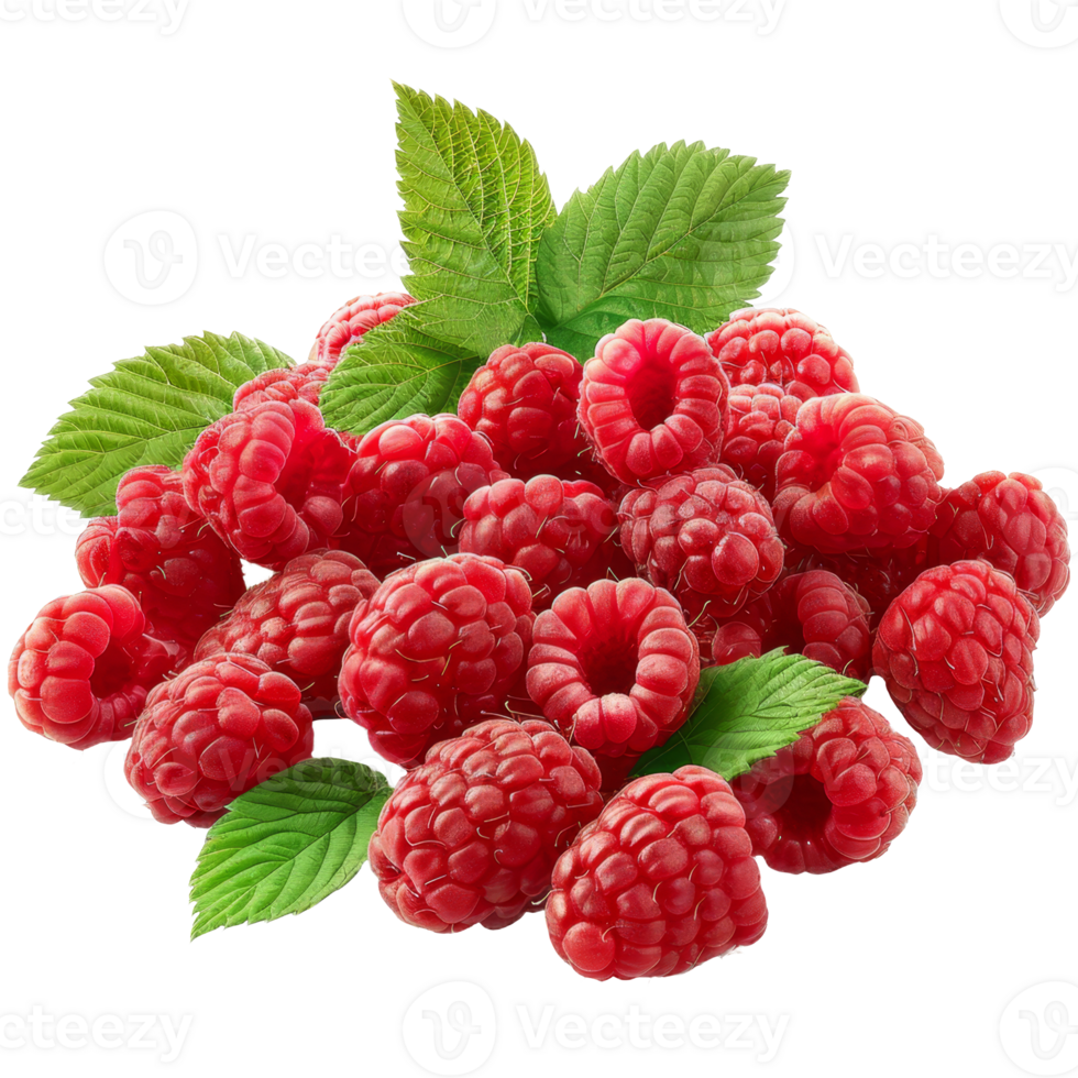 Raspberry Isolated on a Transparent Background png