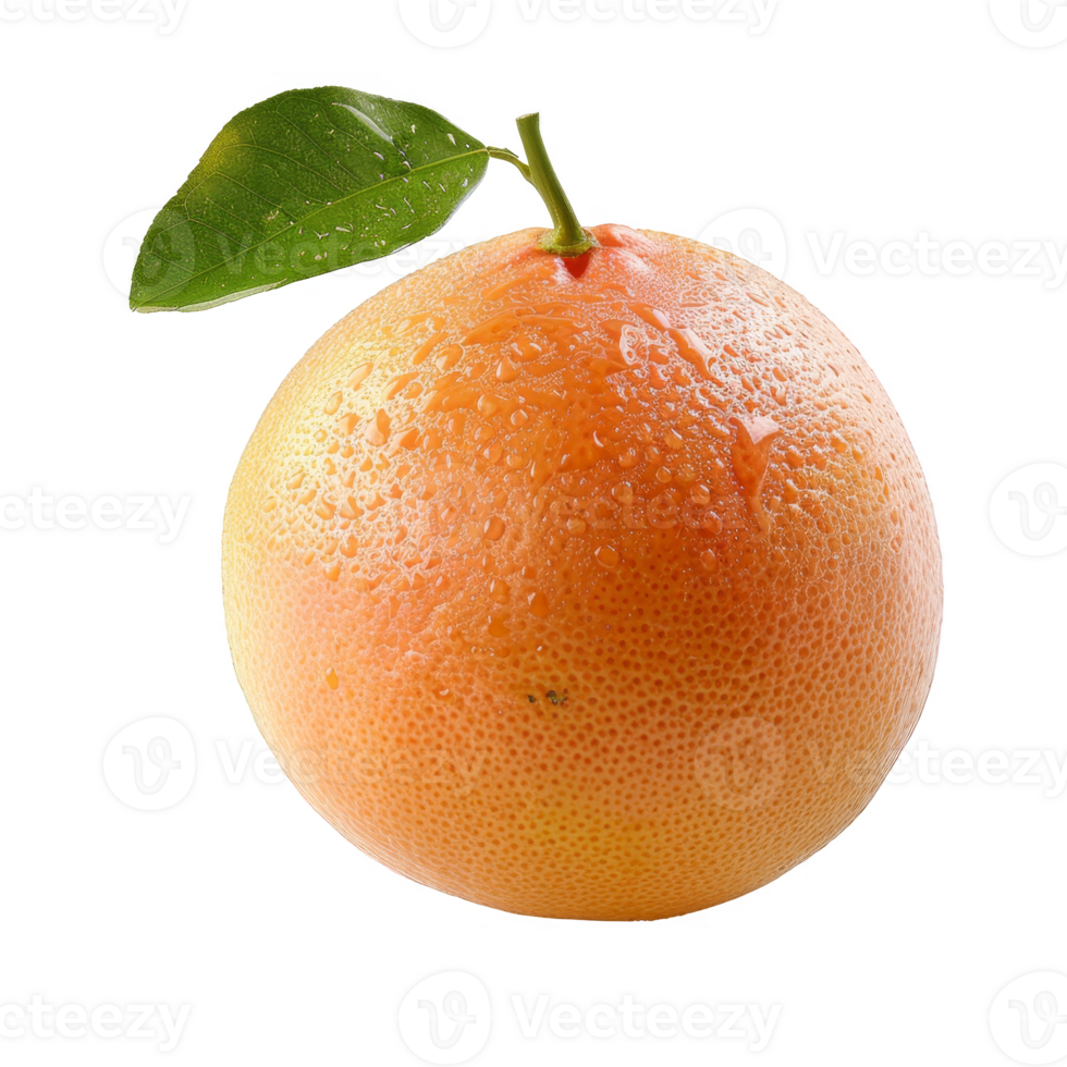 Grapefruit Isolated on a Transparent Background png