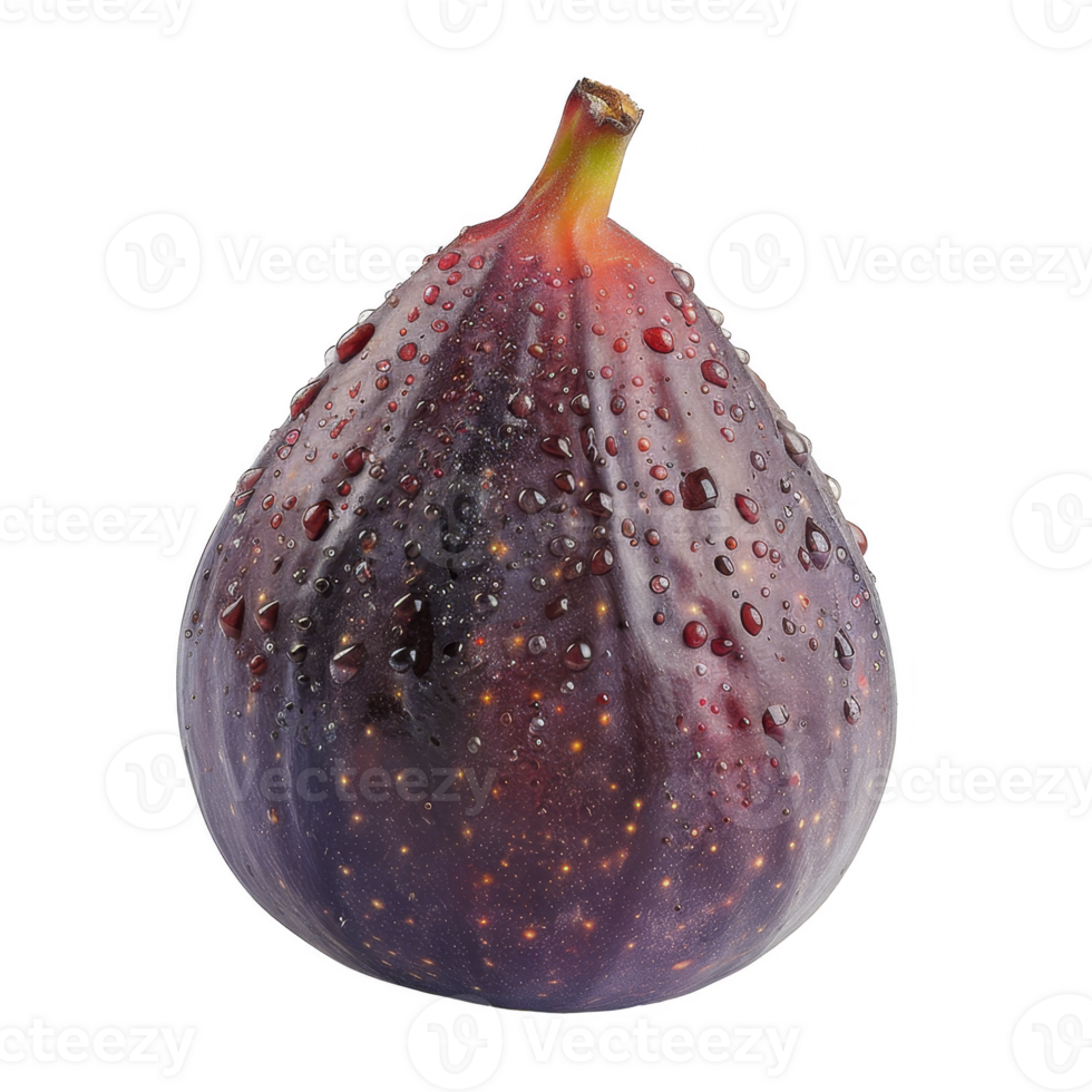 Fig Isolated on a Transparent Background png