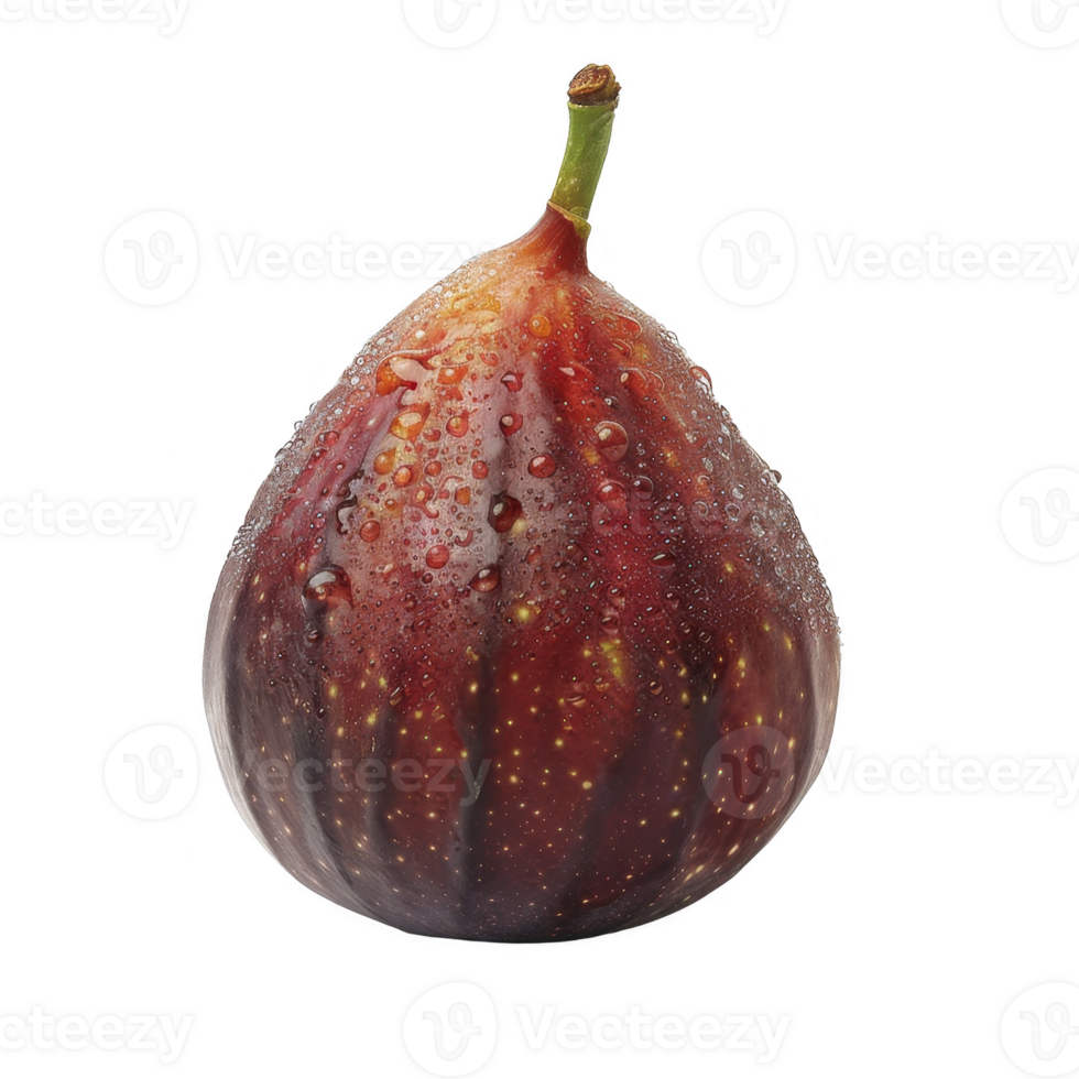 Fig Isolated on a Transparent Background png