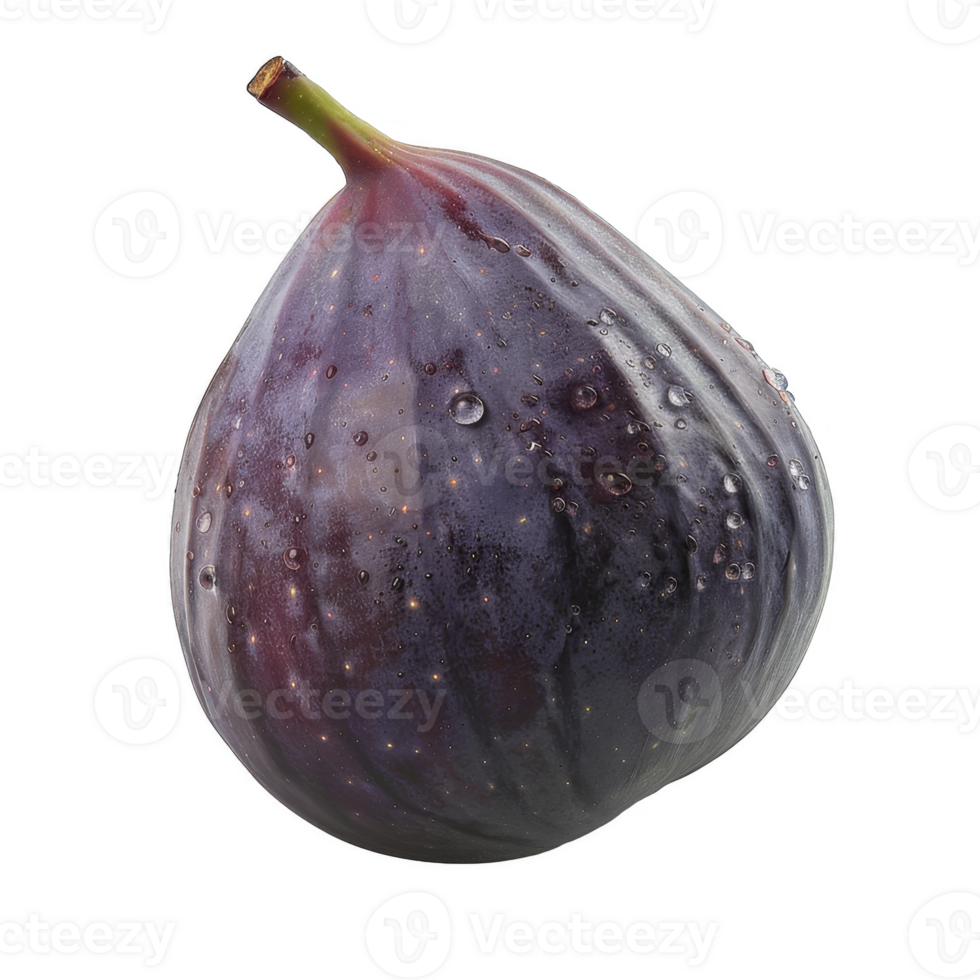 Fig Isolated on a Transparent Background png