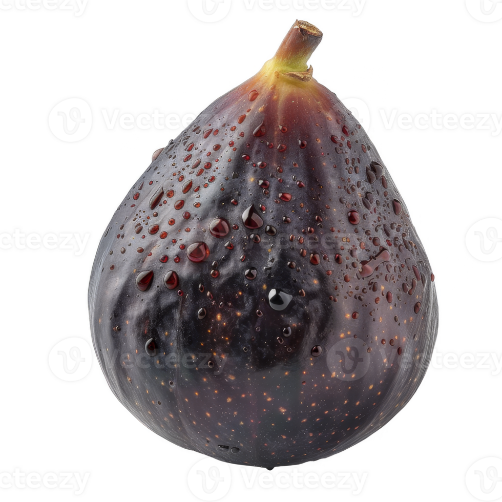 Fig Isolated on a Transparent Background png