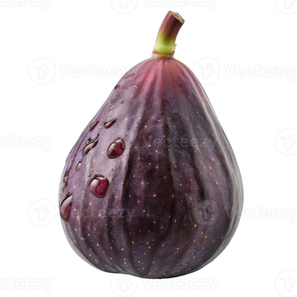 Fig Isolated on a Transparent Background png