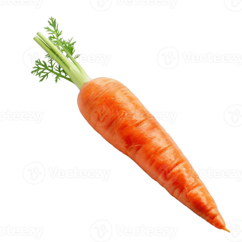 Carrot Isolated on a Transparent Background png